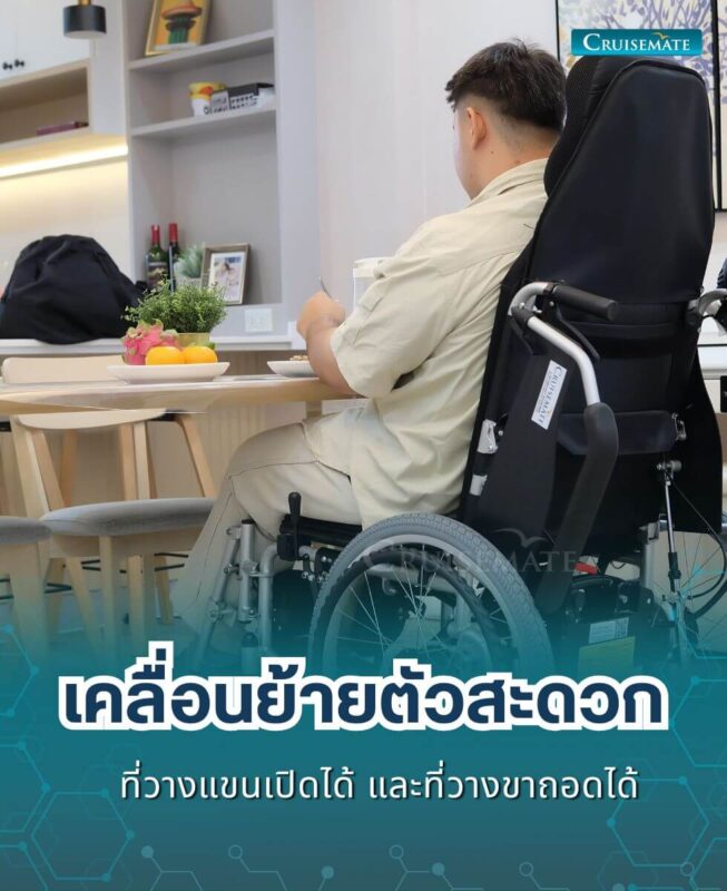 รถเข็นไฟฟ้า CM-102PlusM_ที่วางแขน