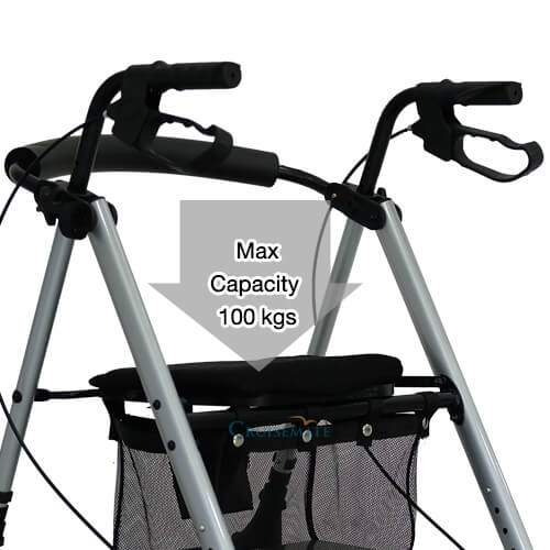 รถเข็นช่วยเดิน Rollator101 รับน้ำหนักได้100กก.