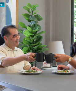 รถเข็นไฟฟ้า รุ่น CM-1003i