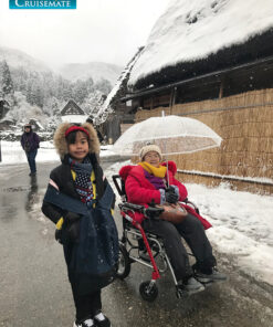 รีวิวรถเข็นไฟฟ้ารุ่น CM-112Prime