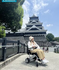 รถเข็นไฟฟ้ารุ่น CM-2054