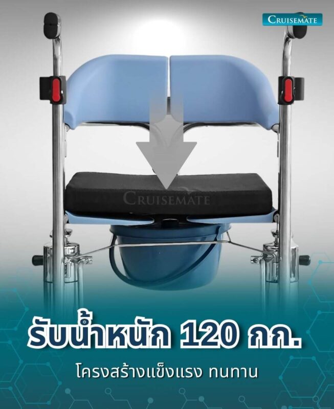 รถเข็นเคลื่อนย้าย EM-601_รับน้ำหนัก