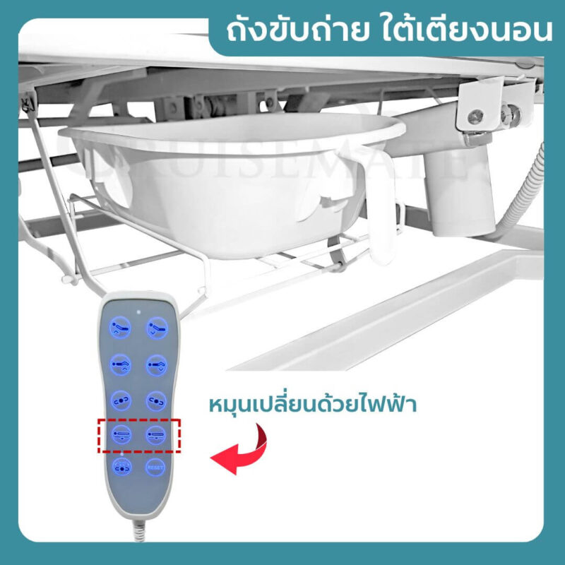 ถังขับถ่าย