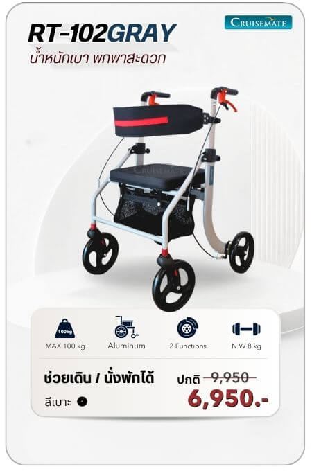โรเลเตอร์ ช่วยพยุงเดิน